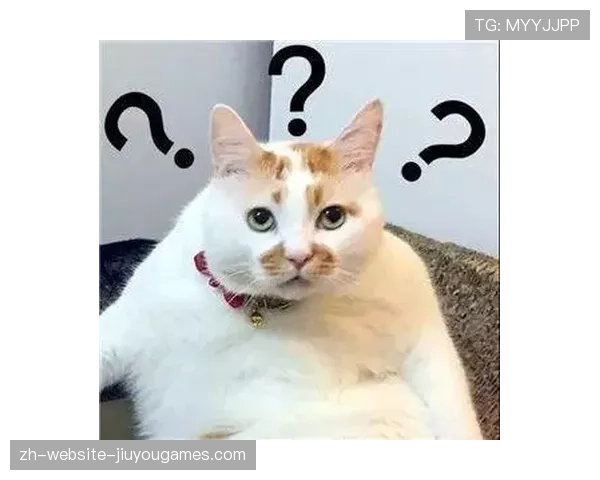 ++¢½+±ã-¦++¹¦¾¦+ÂÓÂËÛÚÛýú¼Î¬+ßÀÐý¡+²